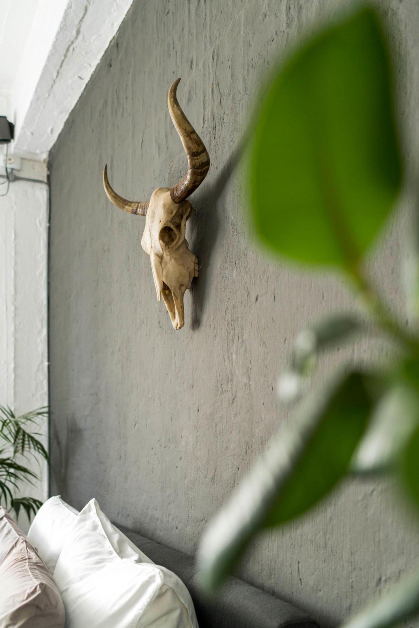 Urban Fox Penthouse By Curiocity Johannesburg Bagian luar foto